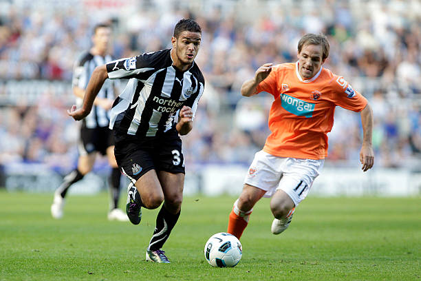 阿诺德不仅 阿诺德不仅