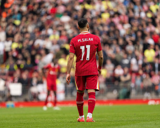 利用了他们 利用了他们