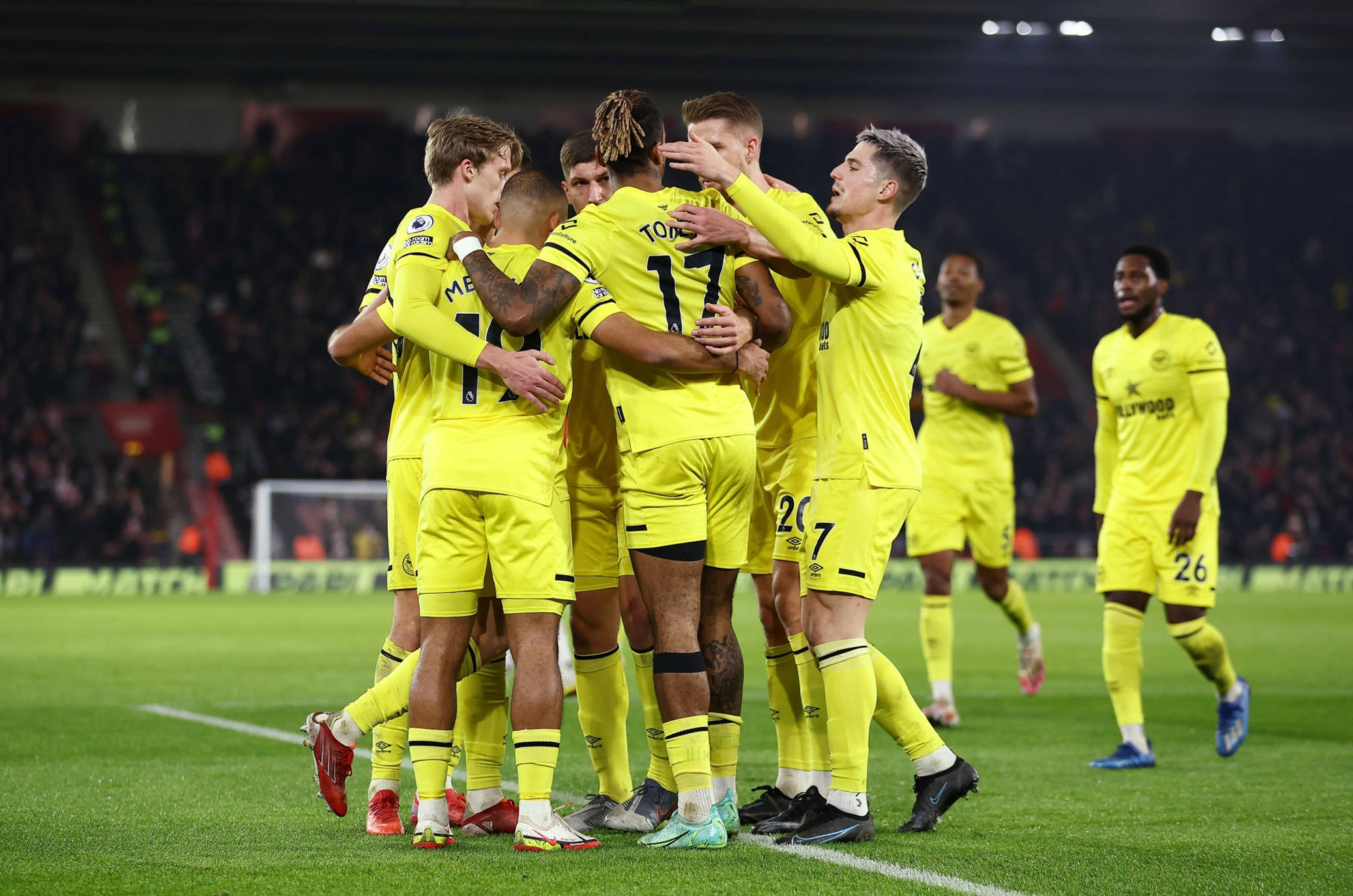 非撞式橄欖 非撞式橄欖